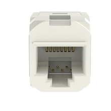 1 Port Mini-Com Cat6A 10Gig UTP RJ45 Coupler Module Polycarbonate CC6X88IW