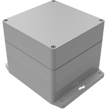 Racks And Boxes Electronic Enclosure RBF55P14G28G