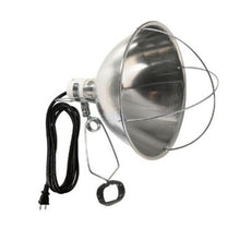 300-8ft 18/2 Brooder Clamp Light Cord Hanging Hook and Heavy Duty Clamp 167 (Pack of 10)