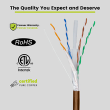 Unshielded Cat6A Direct Burial Ethernet Cable 500FT