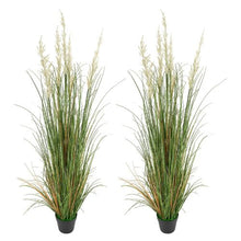 59 Inch Faux Reed Flower Grass in Pots, 2-Pack – Lush Artificial Greenery for Indoor/Outdoor Décor