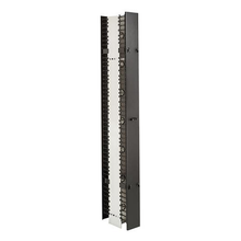 38U Master Cabling Section Double Sided 30094-701