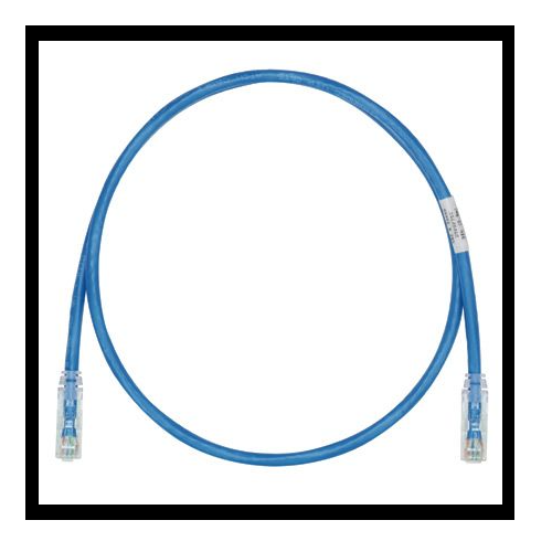 24 AWG Cat 6 UTP Copper 4M Patch Cord Blue UTPSP4MBUY