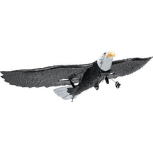 41 cm Remote Control Airplane with 6-Axis Gyro Stabilizer with 2 Batteries for Kids