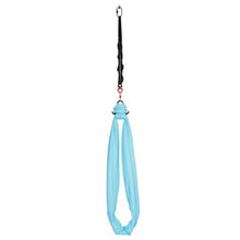 Aerial Yoga Hammock Swing 300 LBS Capacity with Nylon Fabric Daisy Rope and Storage Bag