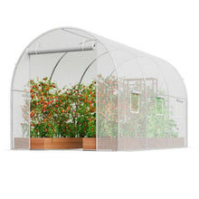 10 x 7 x 7' Ft White Galvanized Frame PE Cover Walk-in Tunnel Greenhouse VV-TG-7502-PE