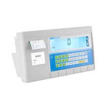 Counting Scale Indicator With Built-in Printer AE 504