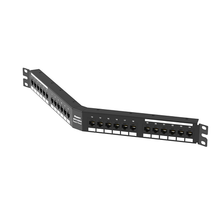 DataPatch Cat6A 10Gig Angled Punchdown Panel
