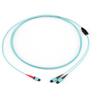 2 Meters EDGE MTP Harness Type Z OM4 24F Interconnect Non-armored Indoor Plenum Cable MTP 24F Non-Pinned to MTP 12F Pinned 36" Legs HA69324QPH-LZ002M