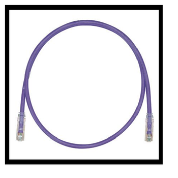 24 AWG Cat 6 UTP Copper 6M Patch Cord Violet UTPSP6MVLY