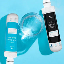 1500 Gallon Capacity Avalon Dual Replacement Filters WBB3198315