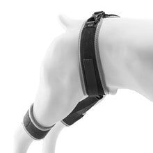 Dog Hip Support Brace Pet Hip Dysplasia Brace Harness Hip Joint Pain Relief D0041