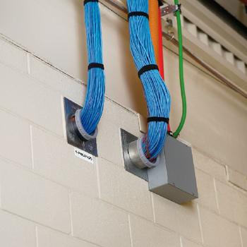 Thermal Transfer Component Label C300X100A8T (Pack of 500)