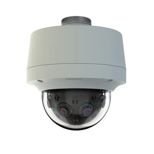 12 Megapixel 180° Gray Panoramic Pendant Environmental Vandal Network Camera IMM12018-1EPUS