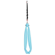 Aerial Yoga Hammock Swing 300 LBS Capacity with Nylon Fabric Daisy Rope and Storage Bag
