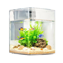2-Gallon Smart Arch Aquarium with 3-Color LED Lighting