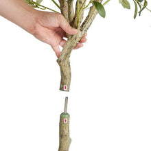 5 ft Artificial Olive Tree Low-Maintenance Plant  for Home Office Indoor Outdoor