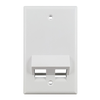 2 Port Angled Single Gang Ul Abs White Keystone Wall Plate S45-3202AW (Pack of 115)