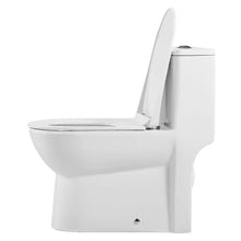Vortex Dual-Flush One-Piece Toilet 1.1/1.6 GPF Comfortable Chair Seat 12" Rough-In (Black & White)
