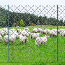 7 FT T-Post Heavy Duty Metal Fence Post (Pack of 10)
