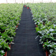 6 x 250' Ft Black Heavy Duty PP Material and Easy Setup 4.1 Oz Premium Woven Ground Cover Weed Barrier Landscape Fabric LSF-WB-6250