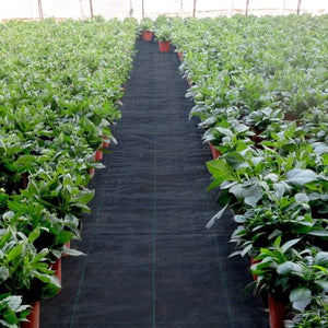 6 x 250' Ft Black Heavy Duty PP Material and Easy Setup 4.1 Oz Premium Woven Ground Cover Weed Barrier Landscape Fabric LSF-WB-6250