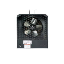 208V 5KW Multiphase PlatinumX Unit Heater w/ 24V Control