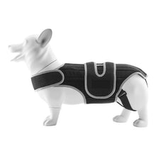 Dog Spine Support Adjustable Harness for Pet's D0053