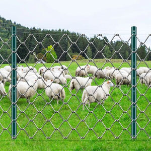 T-Post Heavy Duty Metal Fence Post (6-Piece) 6-6ft