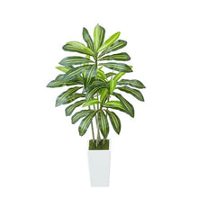 5 ft Artificial PalmTree Dracaena Tree for Home Office FH-BXT150