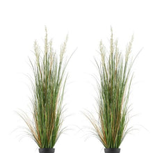59 Inch Faux Reed Flower Grass in Pots, 2-Pack – Lush Artificial Greenery for Indoor/Outdoor Décor