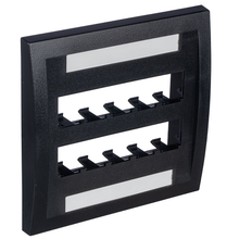 10 Port Mini-Com Executive Series Double Gang Faceplate Mount ABS CFPE10BL-2GY