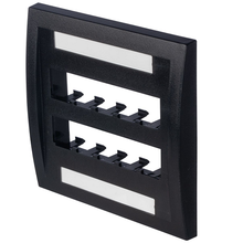 10 Port Mini-Com Executive Series Double Gang Faceplate Mount ABS CFPE10BL-2GY