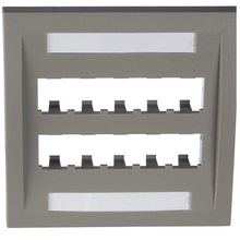 10 Port Mini-Com Executive Series Double Gang Faceplate Mount ABS CFPE10IG-2GY