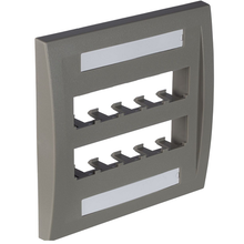 10 Port Mini-Com Executive Series Double Gang Faceplate Mount ABS CFPE10IG-2GY