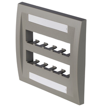 10 Port Mini-Com Executive Series Double Gang Faceplate Mount ABS CFPE10IG-2GY