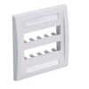 10 Port Mini-Com Executive Series Double Gang Faceplate Mount ABS CFPE10IW-2GY