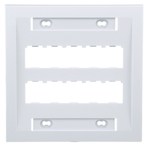 10 Port Mini-Com Executive Series Double Gang Faceplate Mount ABS CFPE10WH-2GY