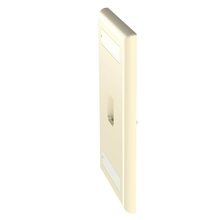1 Port Mini-Com Classic Series Vertical Faceplate ABS Label Pocket CFPL1EIY
