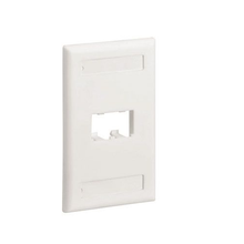 2 Port Mini-Com Classic Series Vertical Faceplate ABS Label Pocket CFPL2IWY
