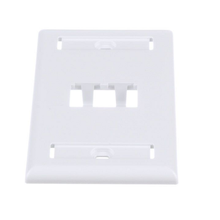 2 Port Mini-Com Classic Series Vertical Faceplate ABS Label Pocket CFPL2WHY