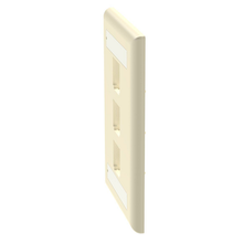 3 Port Mini-Com Classic Series Vertical Faceplate ABS Label Pocket CFPL3EIY