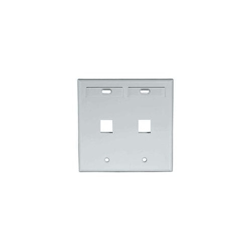 Dual-Gang QUICKPORT Wallplate Gray 42080-2GP