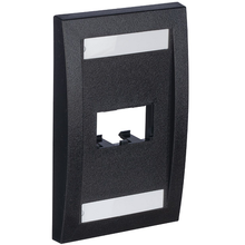 2 Port Mini-Com Executive Series Single Gang Faceplate Mount ABS Panduit CFPE2BLY