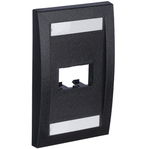 2 Port Mini-Com Executive Series Single Gang Faceplate Mount ABS Panduit CFPE2BLY