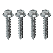 5/16 x 3 Inch Fastens 2 E-Track Singles Zinc Screw Set SLFLSDS158