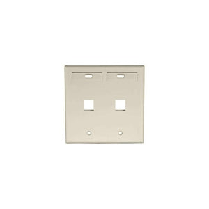 Dual-Gang QUICKPORT Wallplate 2-Port Ivory 42080-2IP
