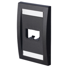 2 Port Mini-Com Executive Series Single Gang Faceplate Mount ABS Panduit CFPE2BLY