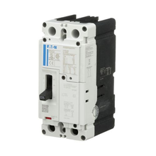 2 Frame 20A 2 Pole Power Defense Circuit Breaker PDG22M0020TFFL