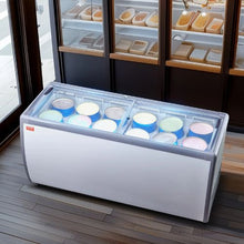 20 cu.ft Commercial Ice Cream Display Case with 12 Large Tubs 2 Sliding Glass Doors RI-560DC
